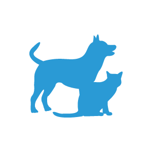 pet