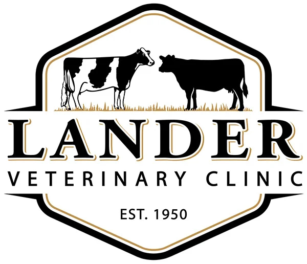 landervet-logo.jpg