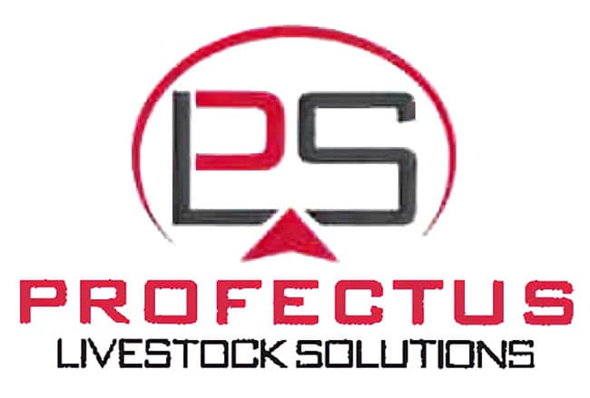 Profectus-Livestock-Logo