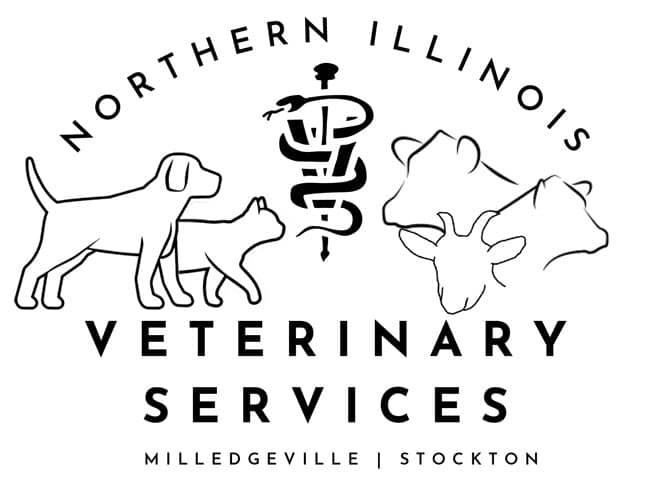 Nothern-Illinois-Vet-Logo
