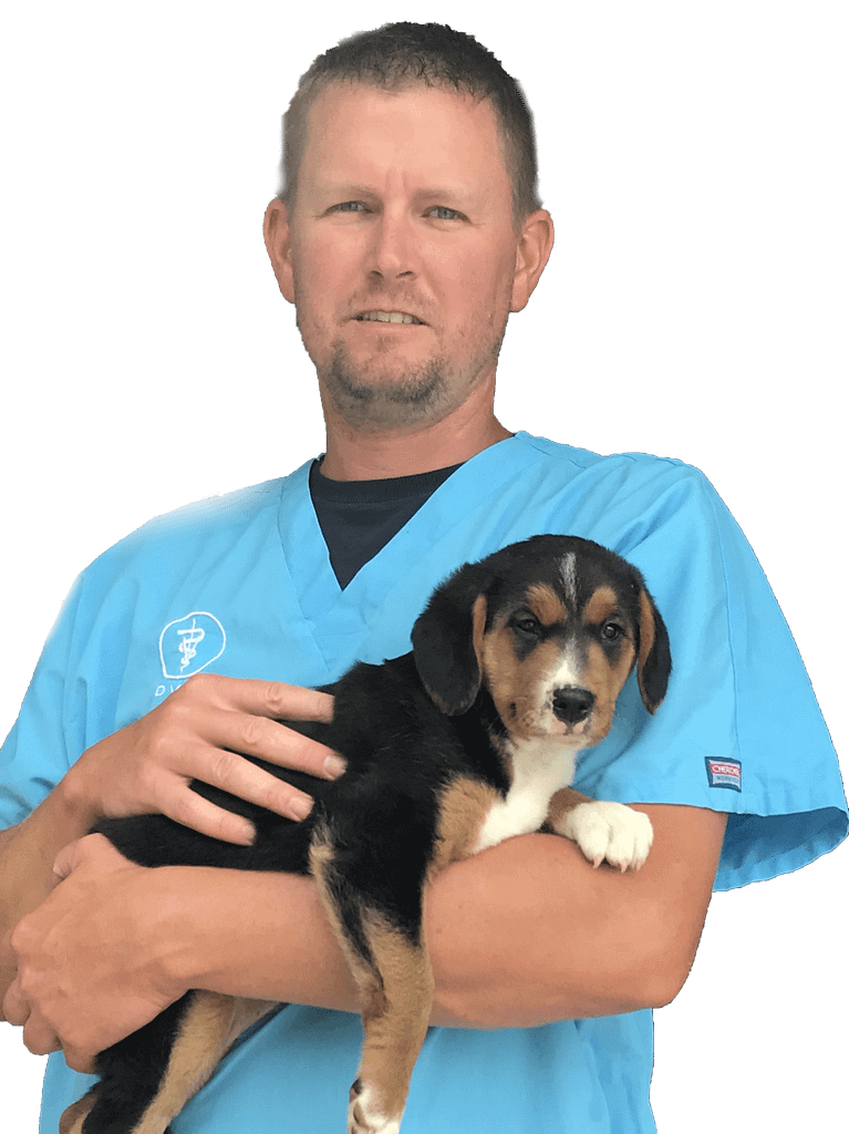 Effingham Vet Clinic Innovative Veterinary Solutions